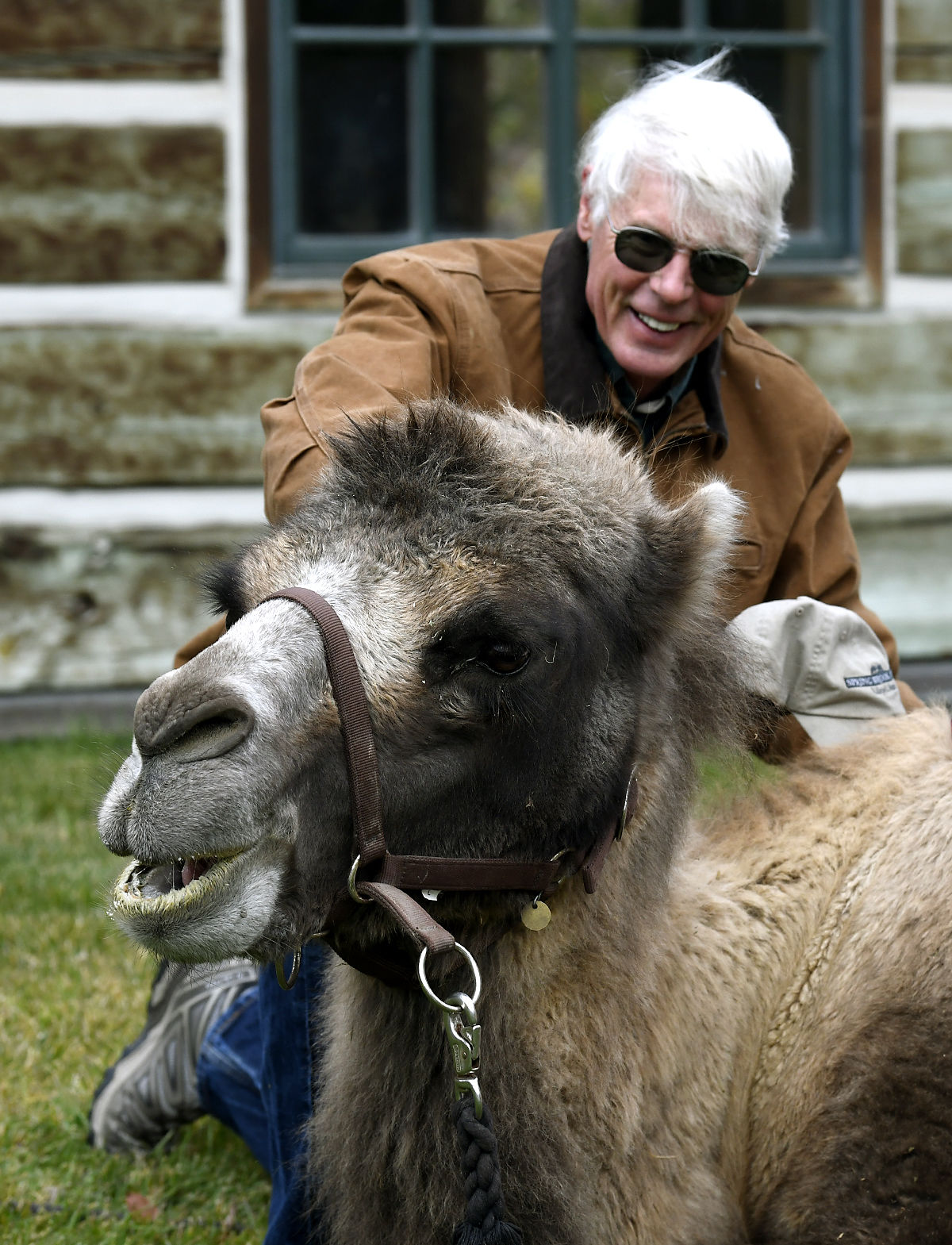 Carlos the Camel 5